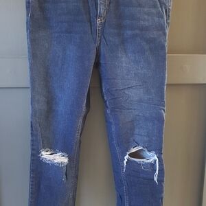 Wild Fable Ripped Denim Jeans